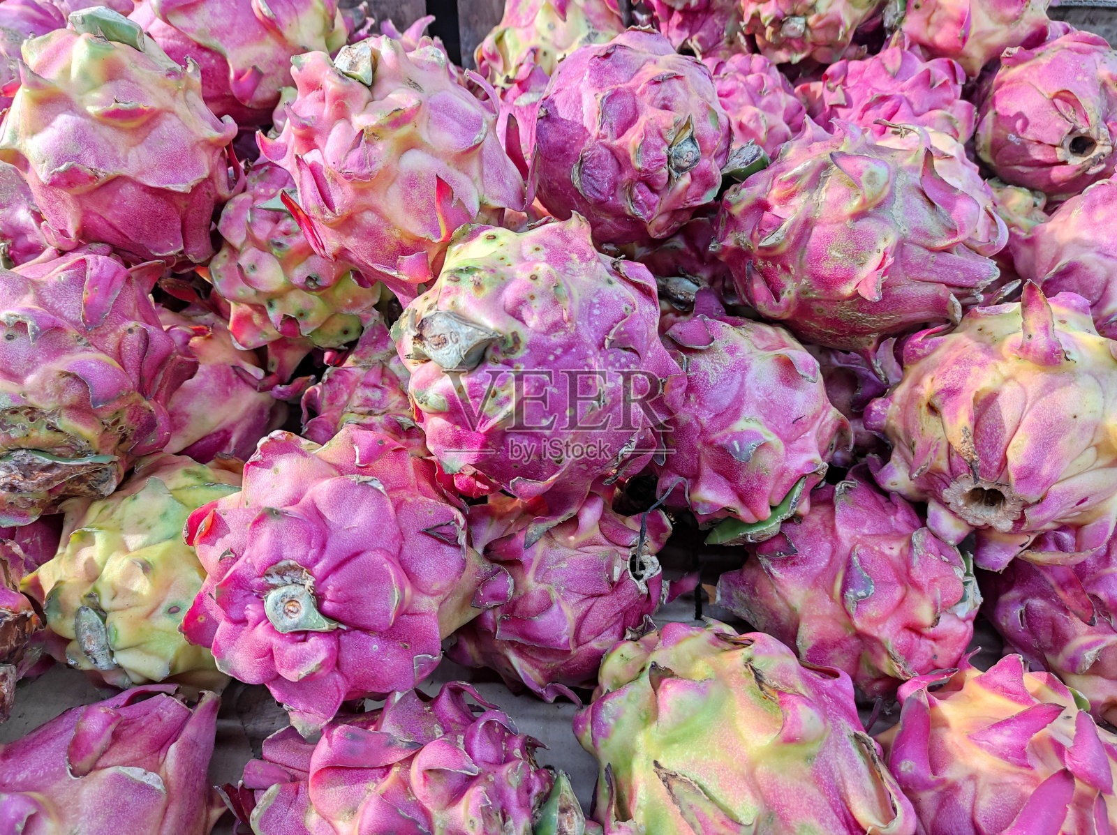 火龙果或火龙果，新鲜甜美。照片摄影图片