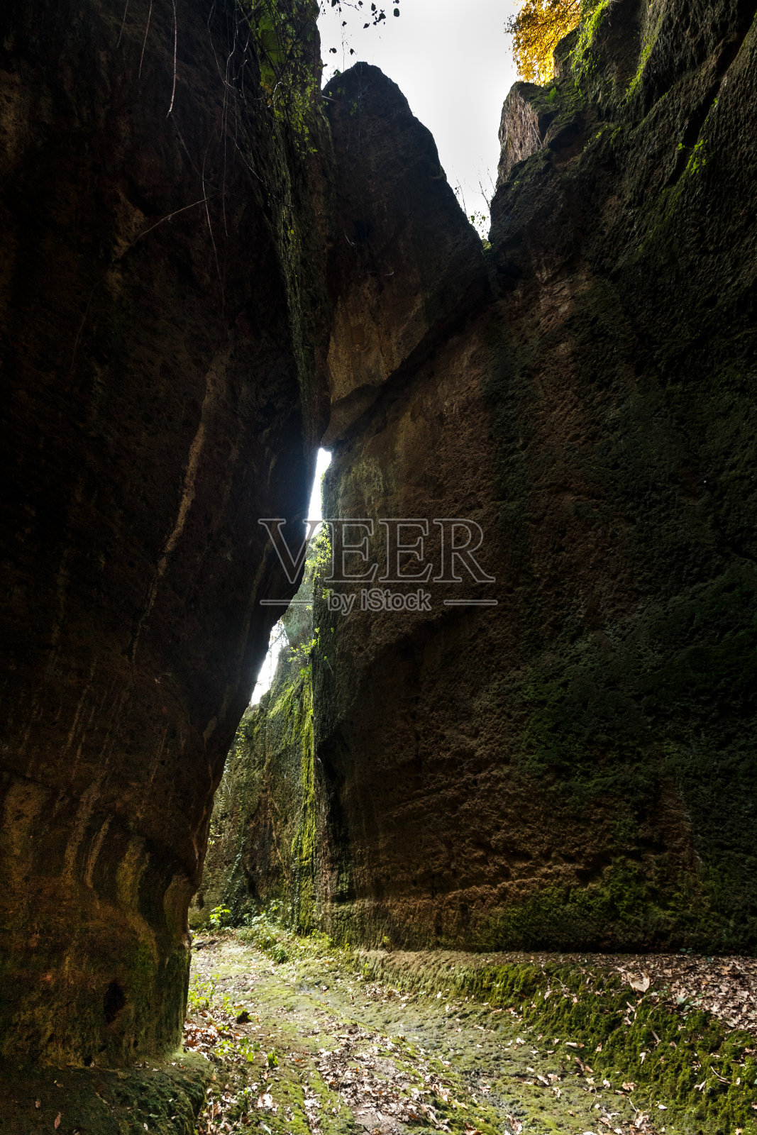 科尔基亚诺之战照片摄影图片