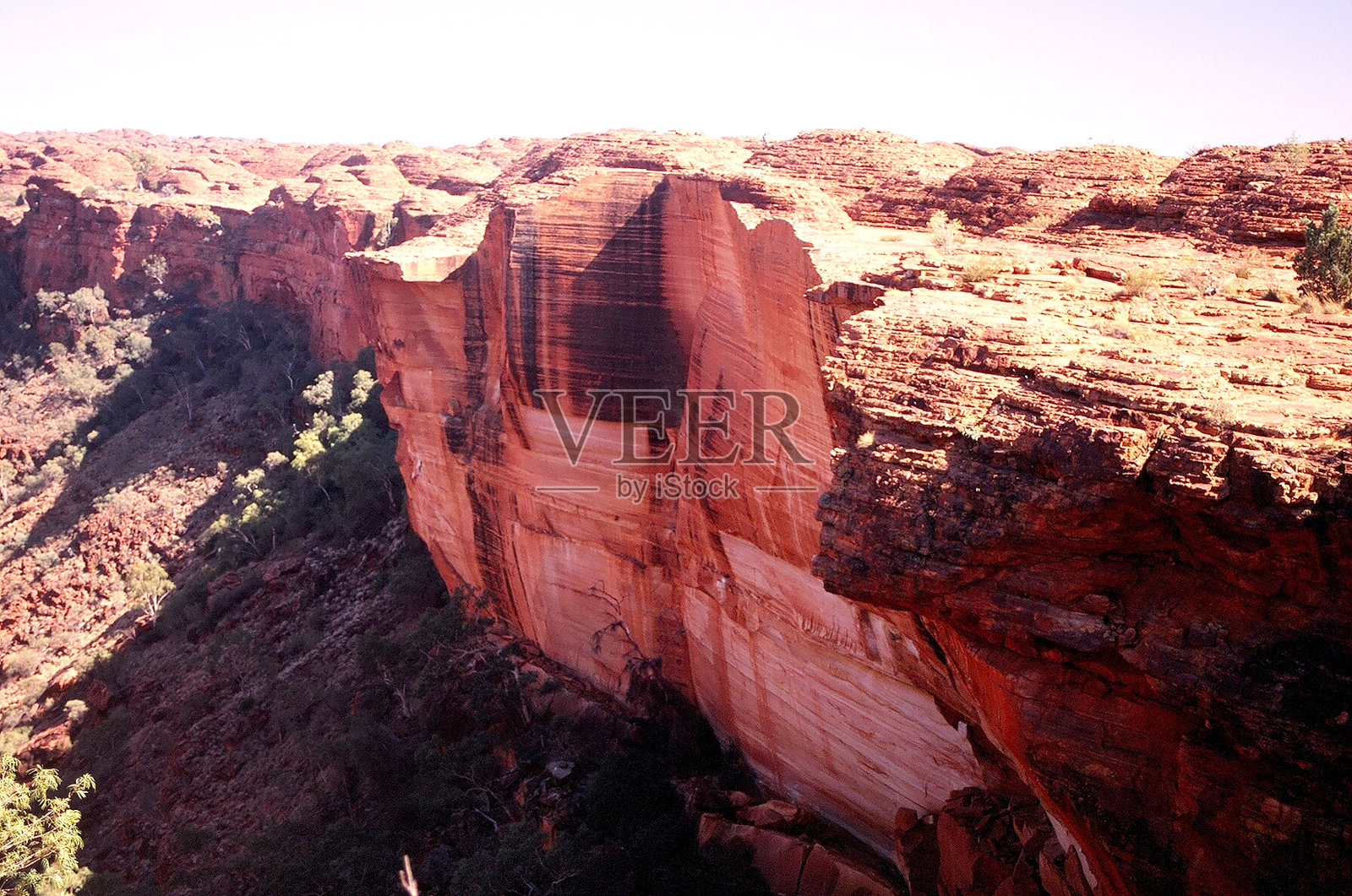 澳大利亚照片摄影图片