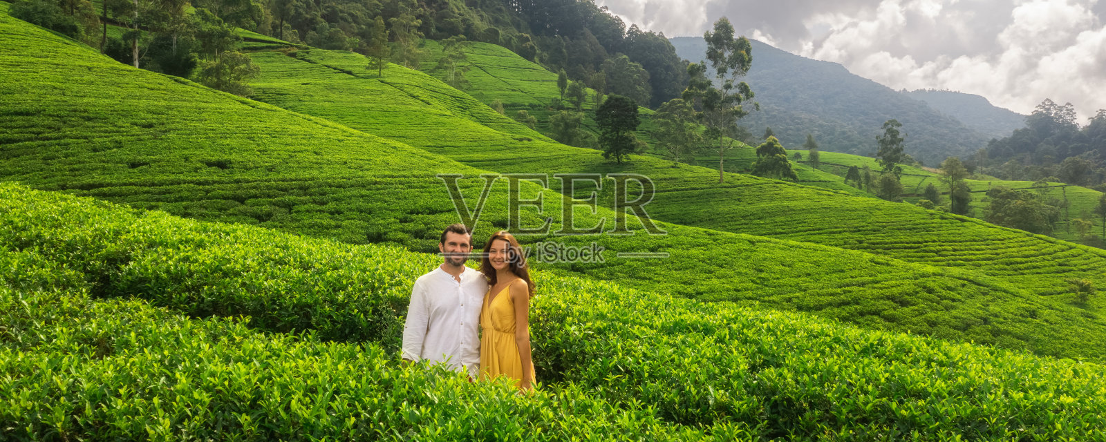 一对旅行者在绿茶种植园的空中无人机视图照片摄影图片