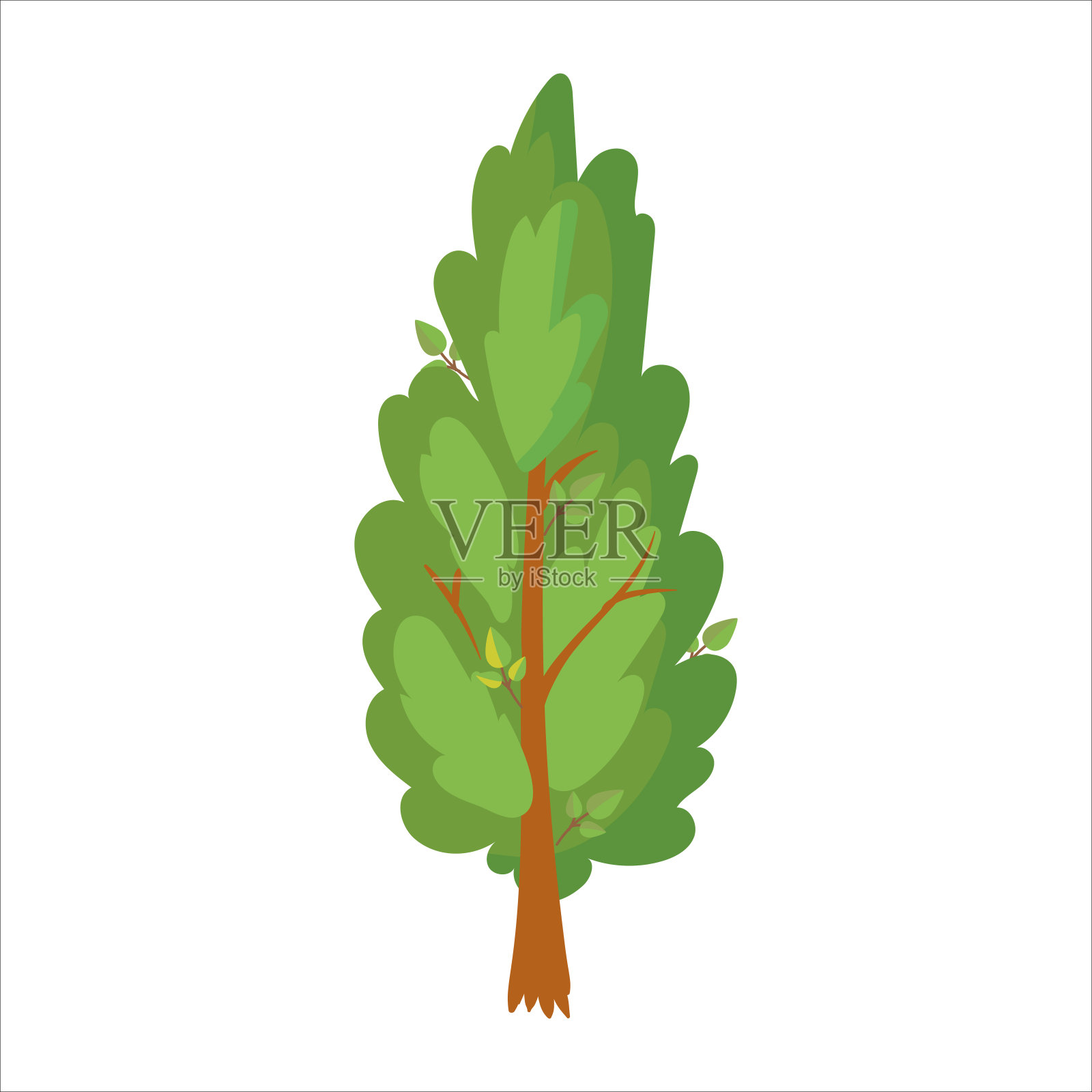 绿色的树。柏树白雪松。花园里的一种植物。森林。矢量插图隔离在白色背景上。插画图片素材