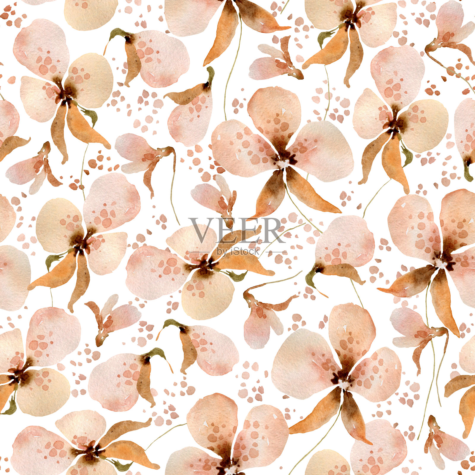 米色花卉图案插画图片素材