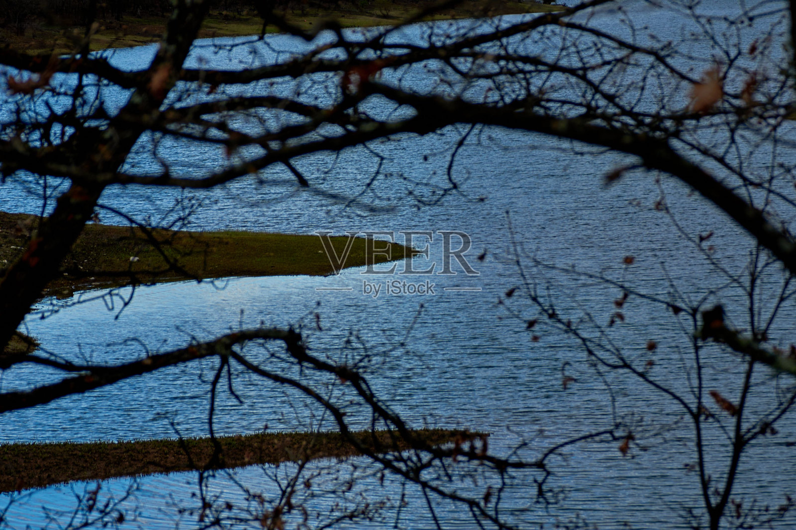 一个有小块水的湖，旁边有树和一些草照片摄影图片