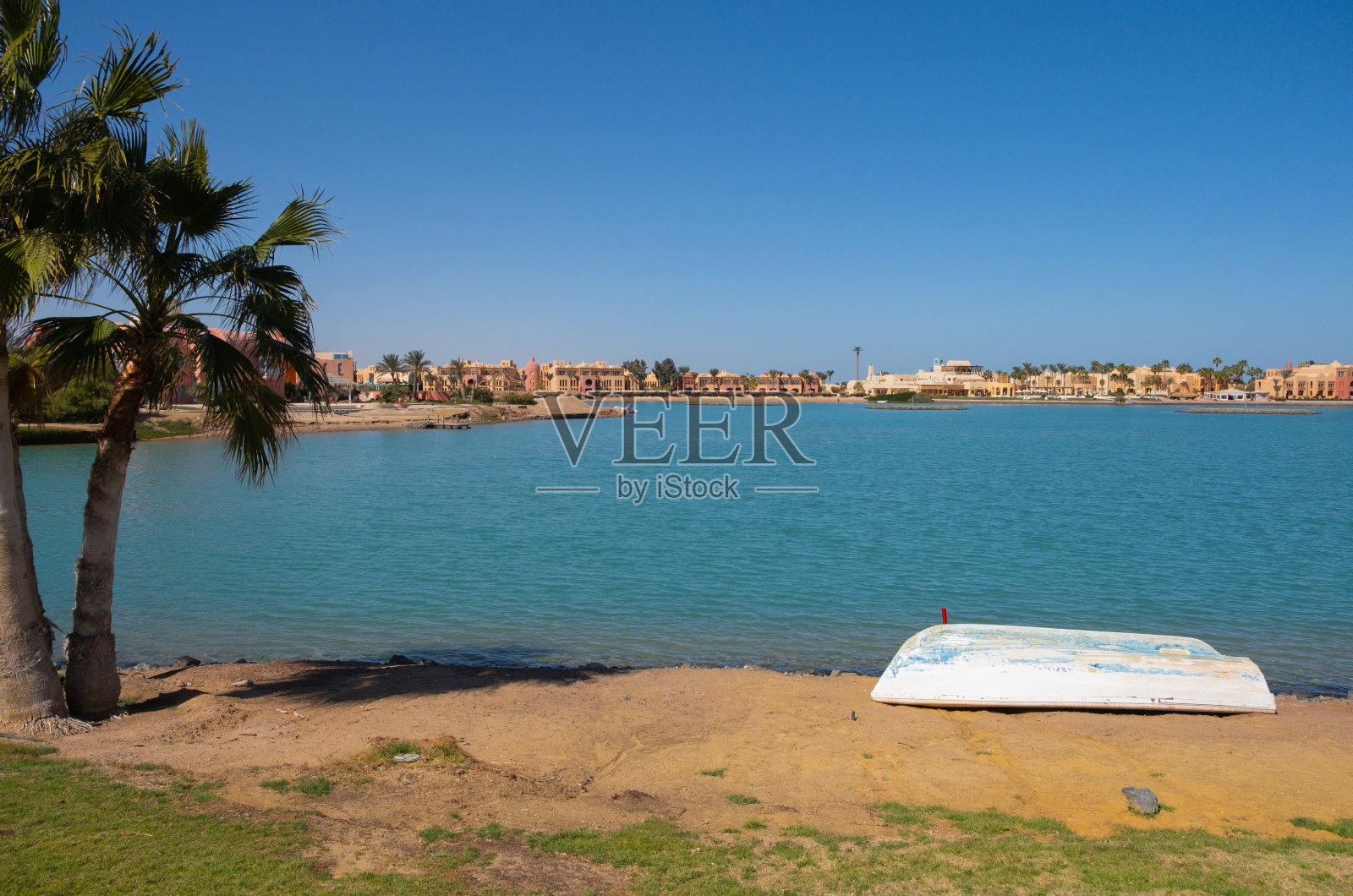 埃及红海El Gouna棕榈树附近的沙滩上的船照片摄影图片