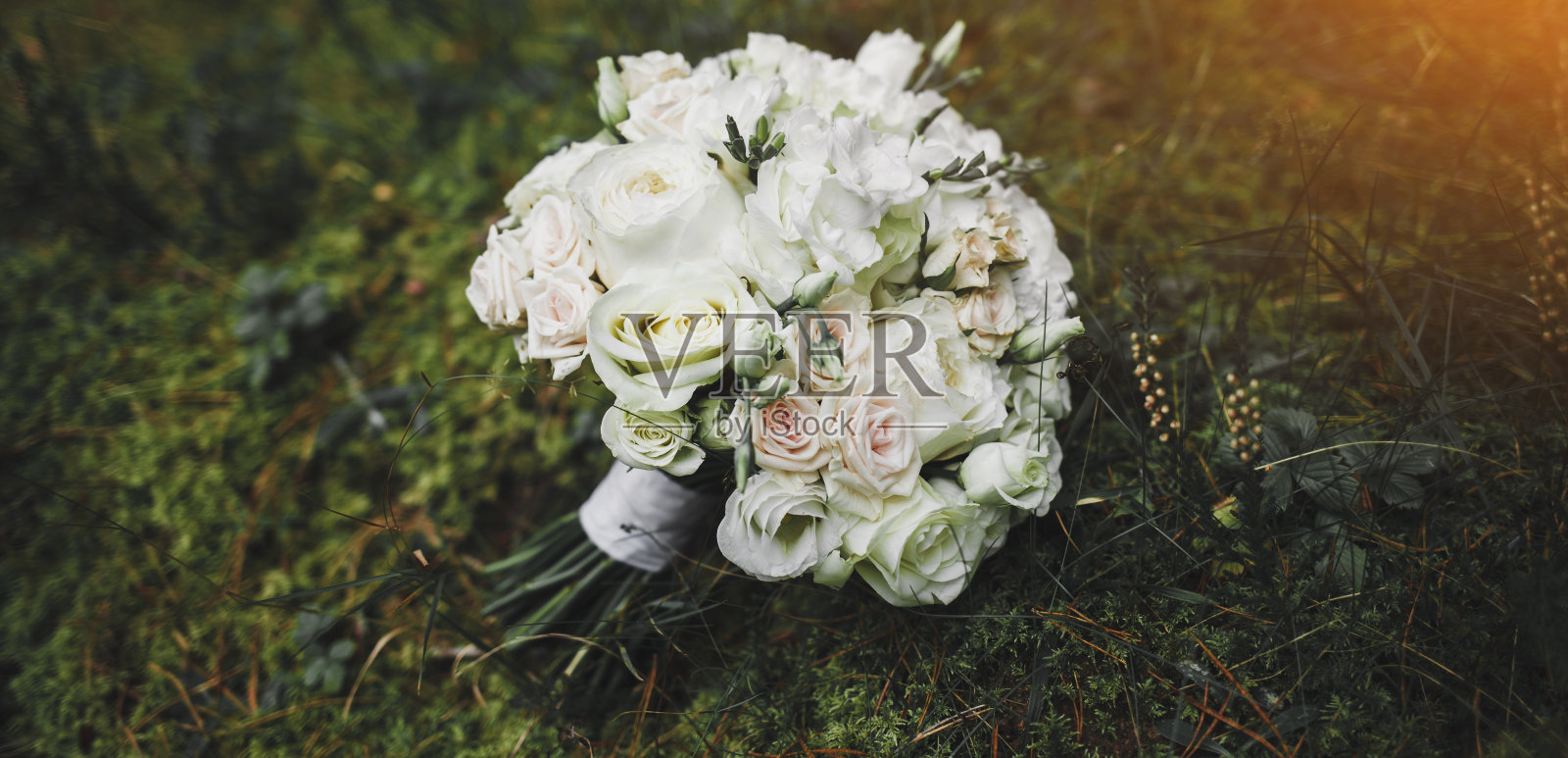 明亮的白玫瑰花束照片摄影图片