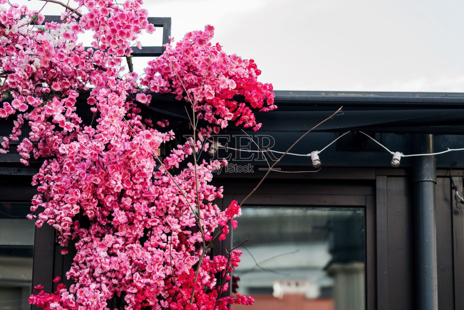 人造樱花。照片摄影图片