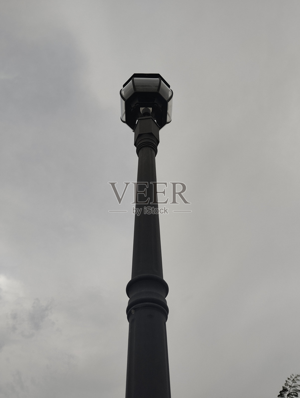 花园灯光照片照片摄影图片