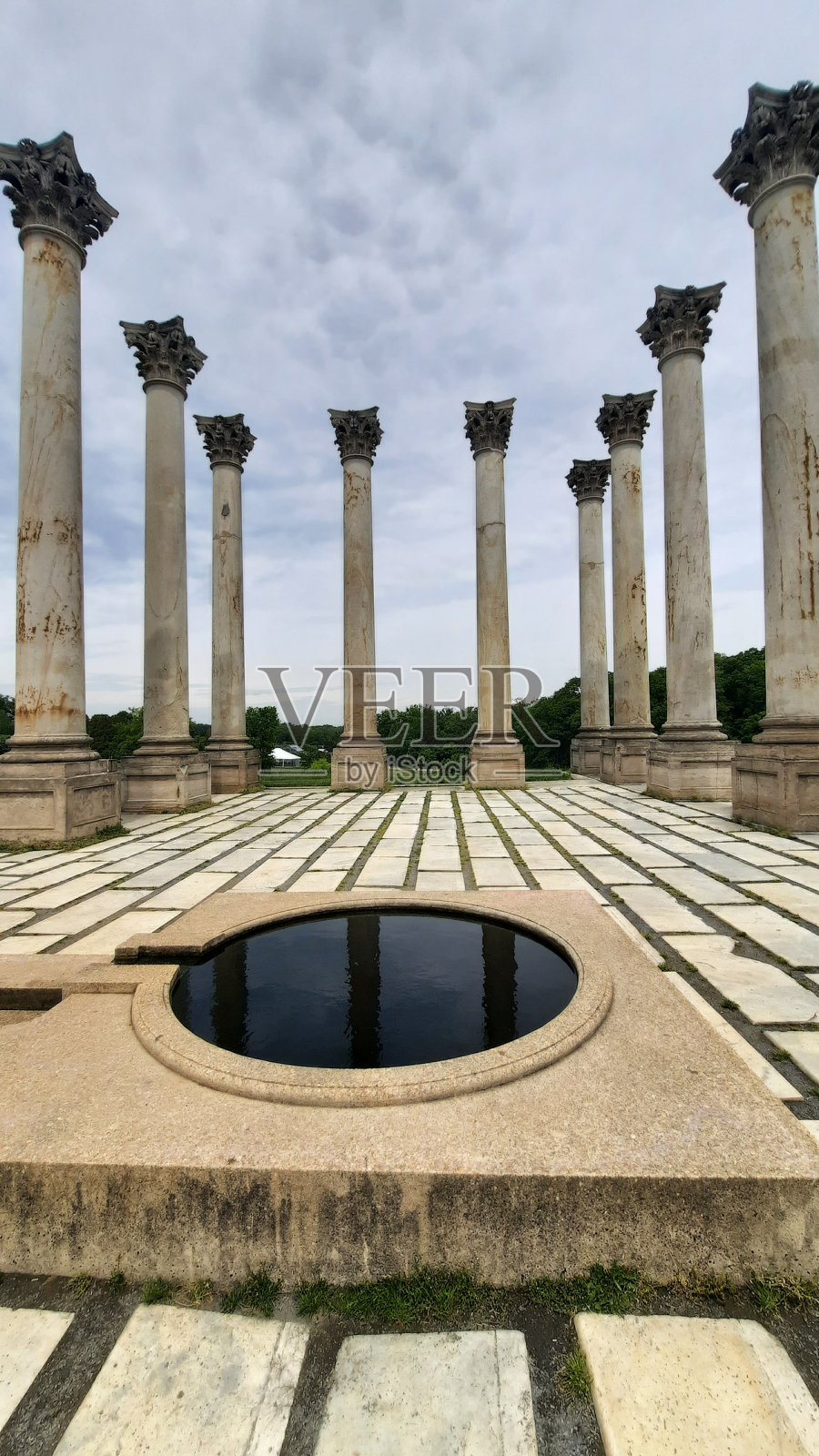 华盛顿特区植物园的国会大厦圆柱照片摄影图片