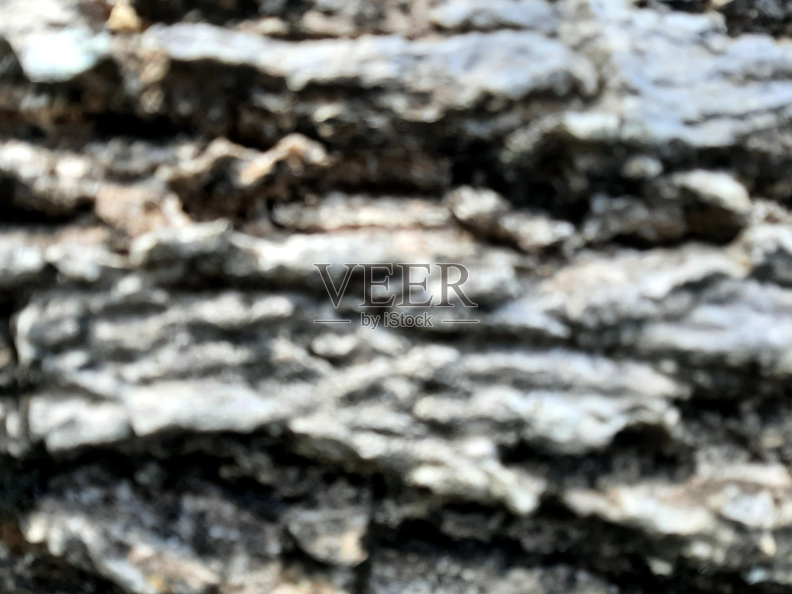 树枝纤维照片摄影图片