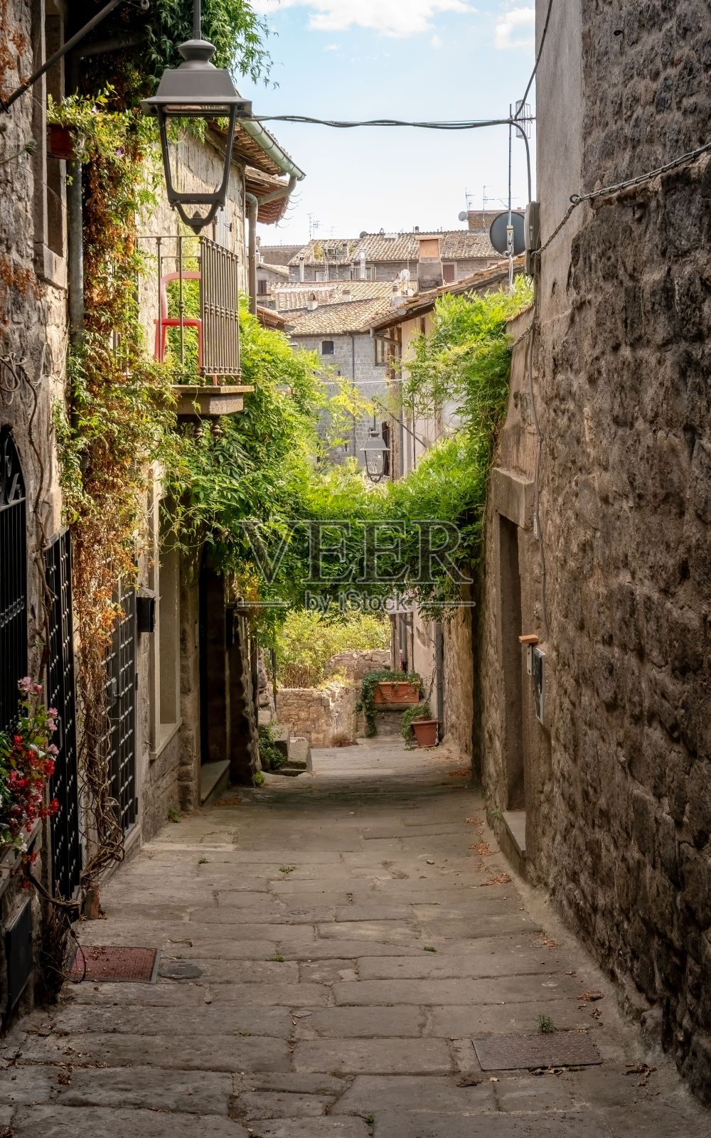意大利维特博狭窄的街道上有历史建筑和绿色植物。照片摄影图片