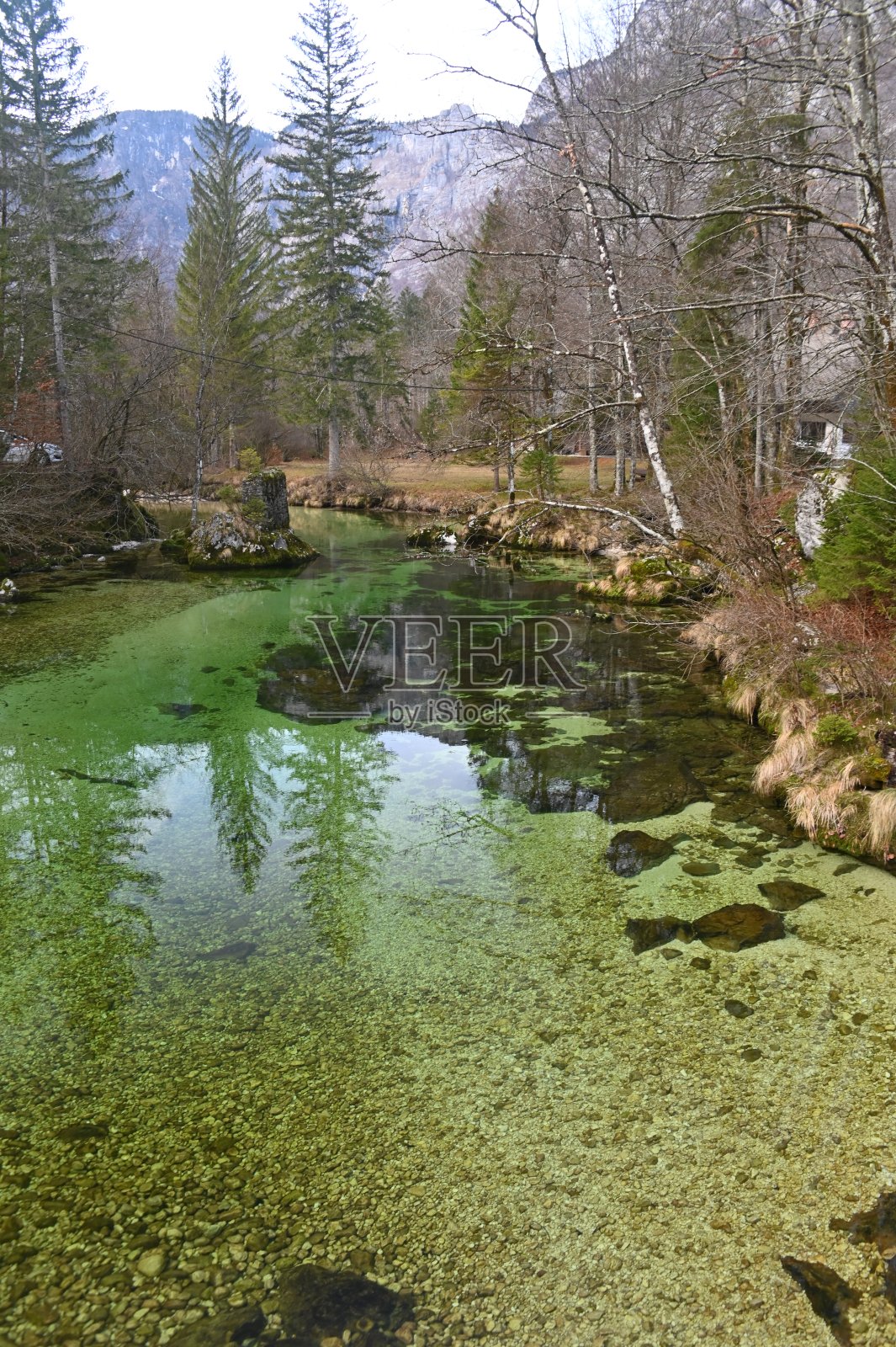 博希尼-萨维卡前出口到博希尼湖照片摄影图片