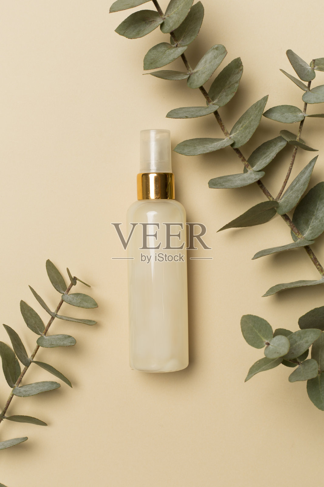 化妆品瓶与桉树分支的颜色背景，顶视图照片摄影图片