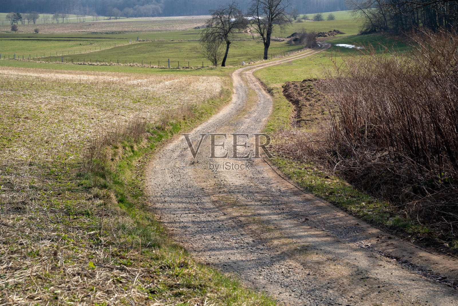 在春天的一个阳光明媚的日子里，农田和树木之间的乡间土路照片摄影图片