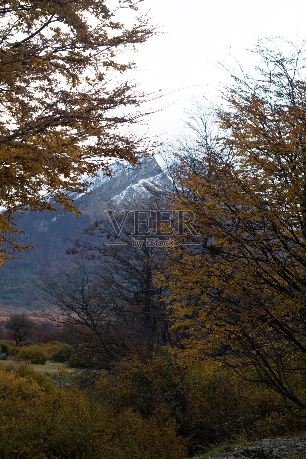 火地岛国家公园的秋景照片摄影图片