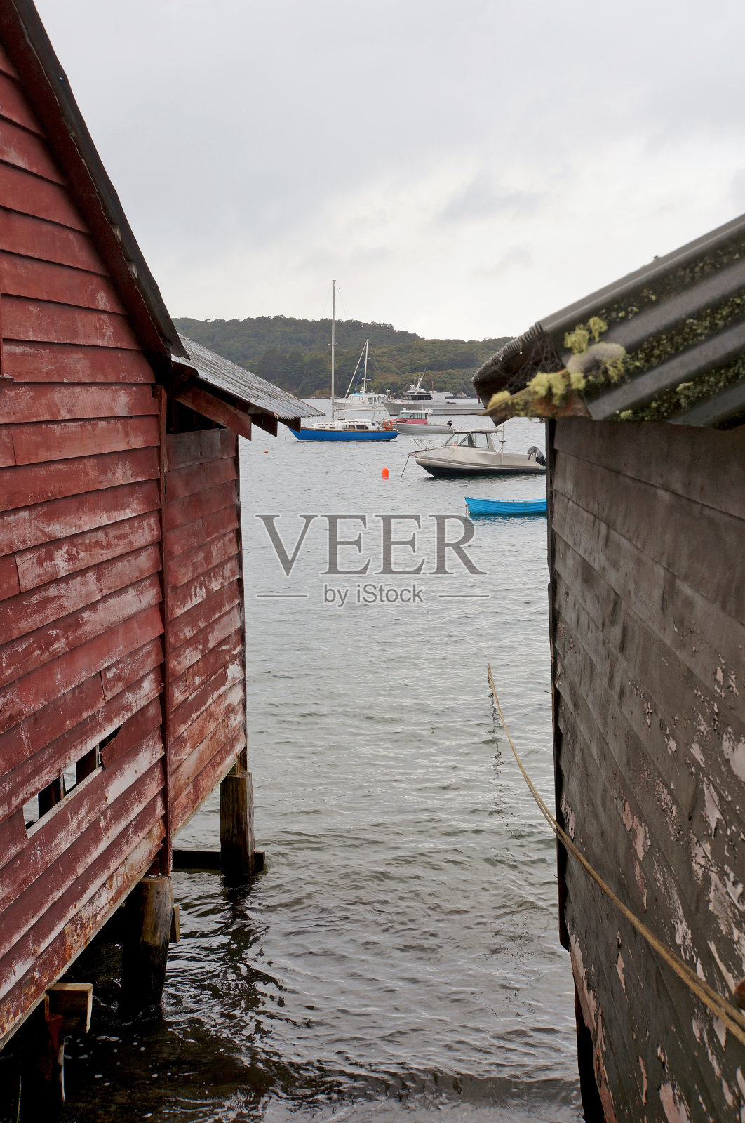 斯图尔特岛，新西兰照片摄影图片