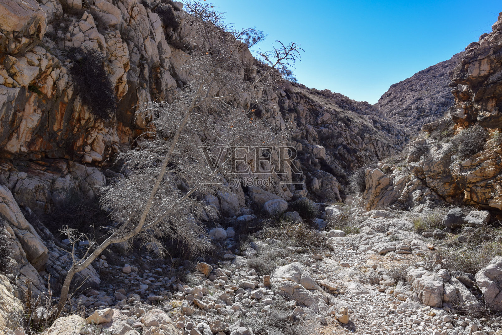 Krk岛的Vrzenica峡谷照片摄影图片