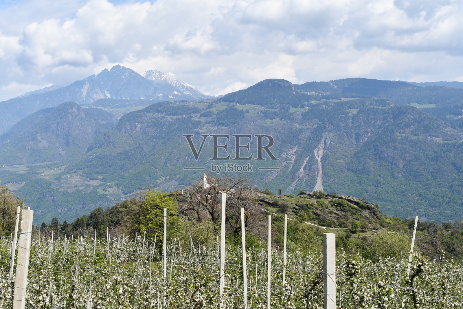南蒂罗尔的苹果花和美丽的风景照片摄影图片
