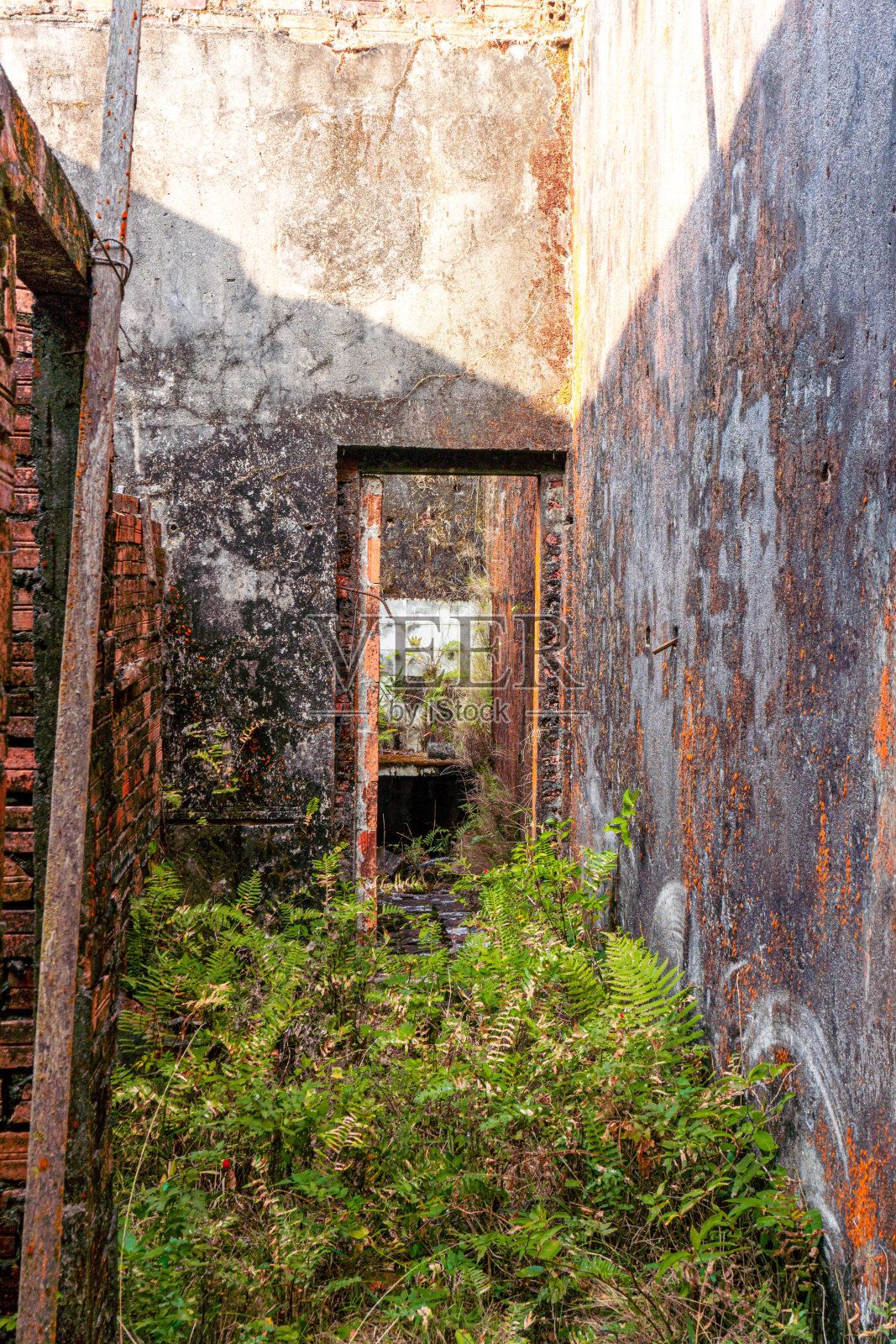 城市探索带着锈迹的破旧房屋照片摄影图片