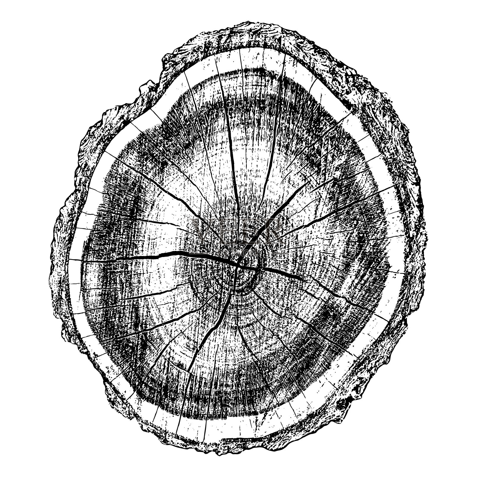 木材纹理插画图片素材