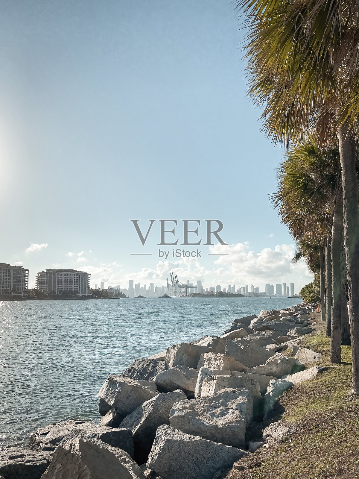 美国佛罗里达州迈阿密港的风景照片摄影图片