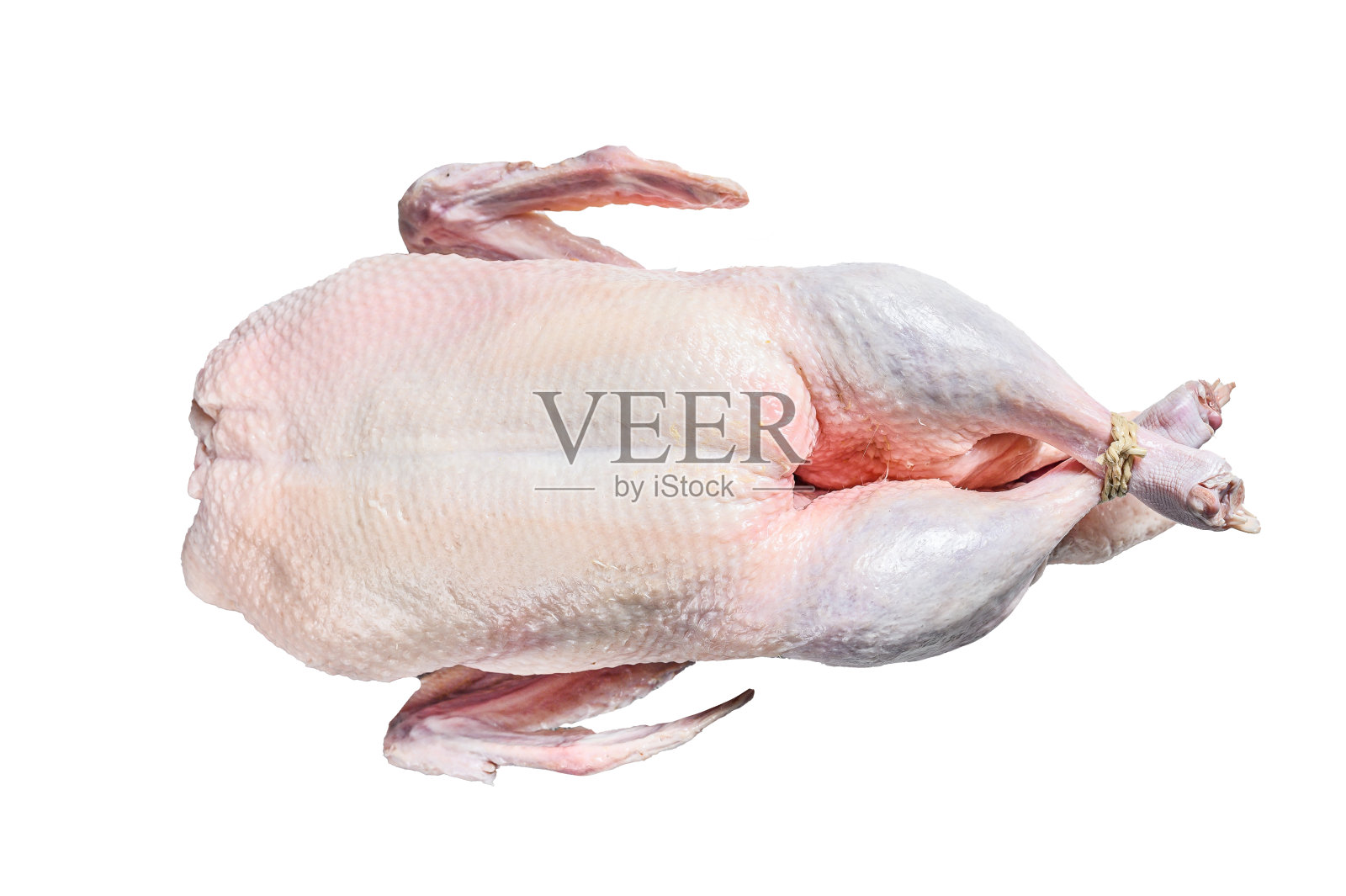 生整鸭、禽肉。孤立在白色背景上。照片摄影图片