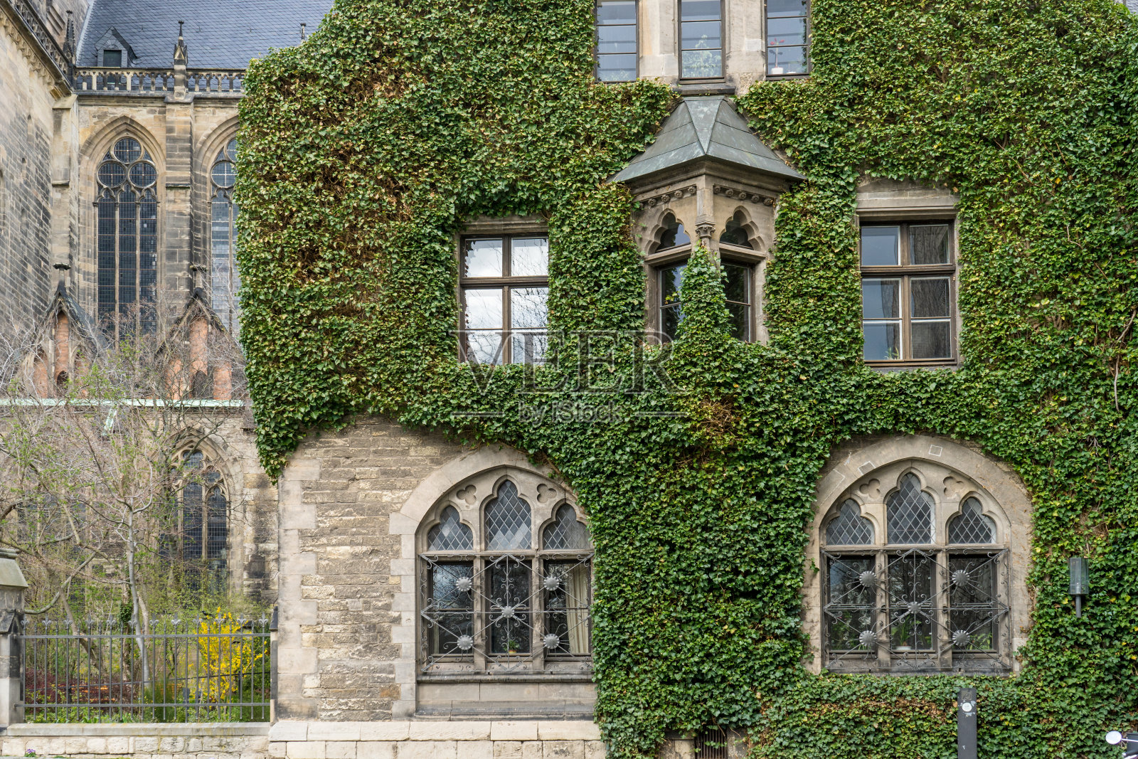 马格德堡大教堂照片摄影图片