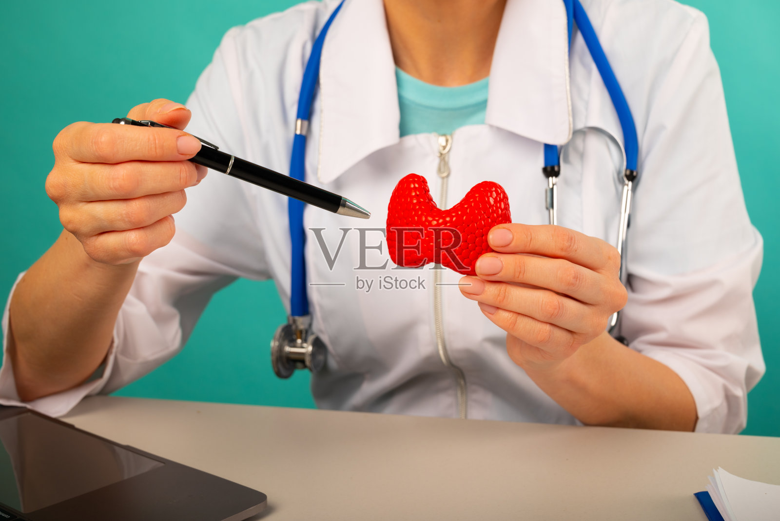 女医生指着他办公室里的甲状腺模型照片摄影图片