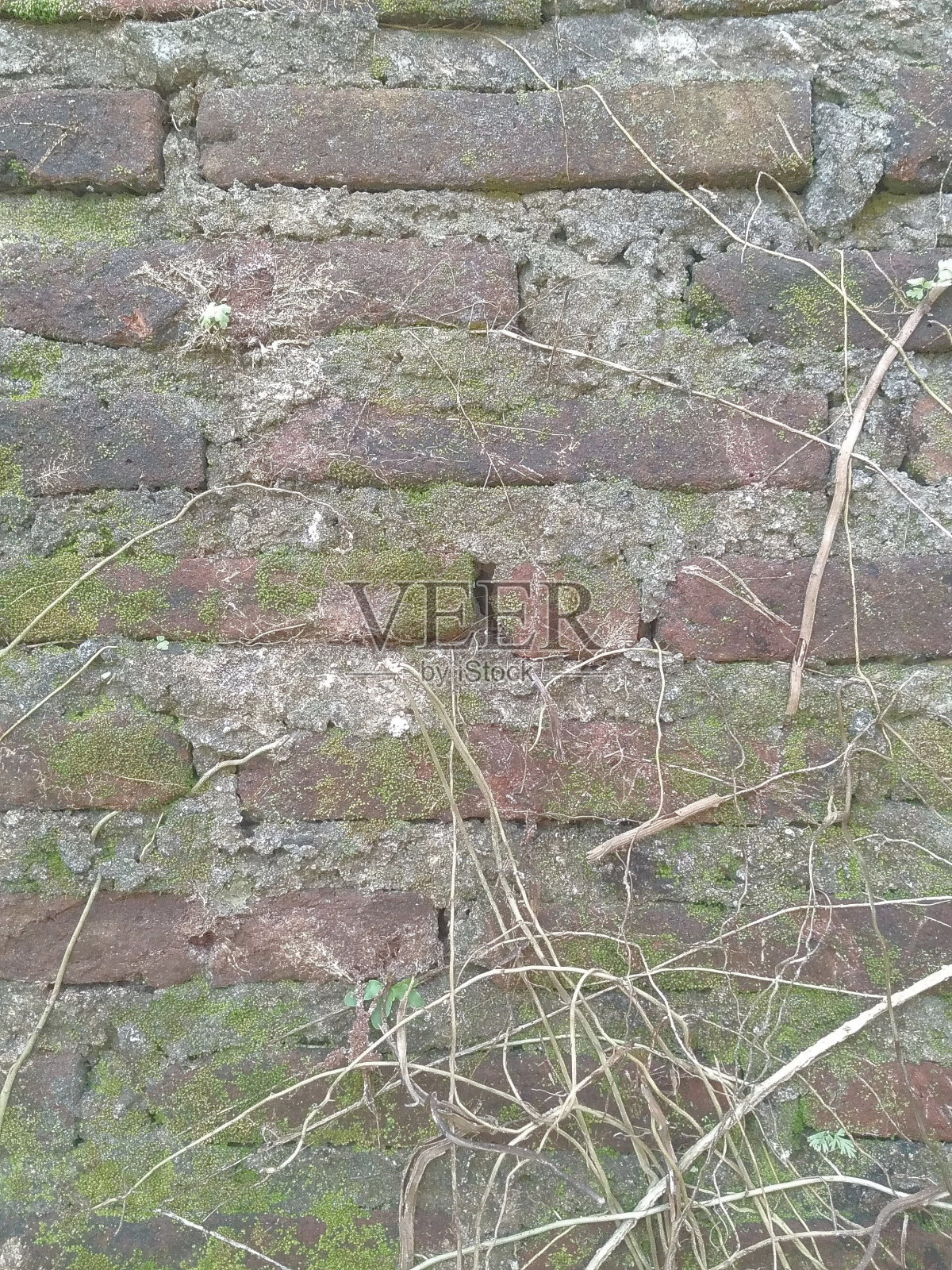 房子墙砖的纹理带有一点青苔照片摄影图片