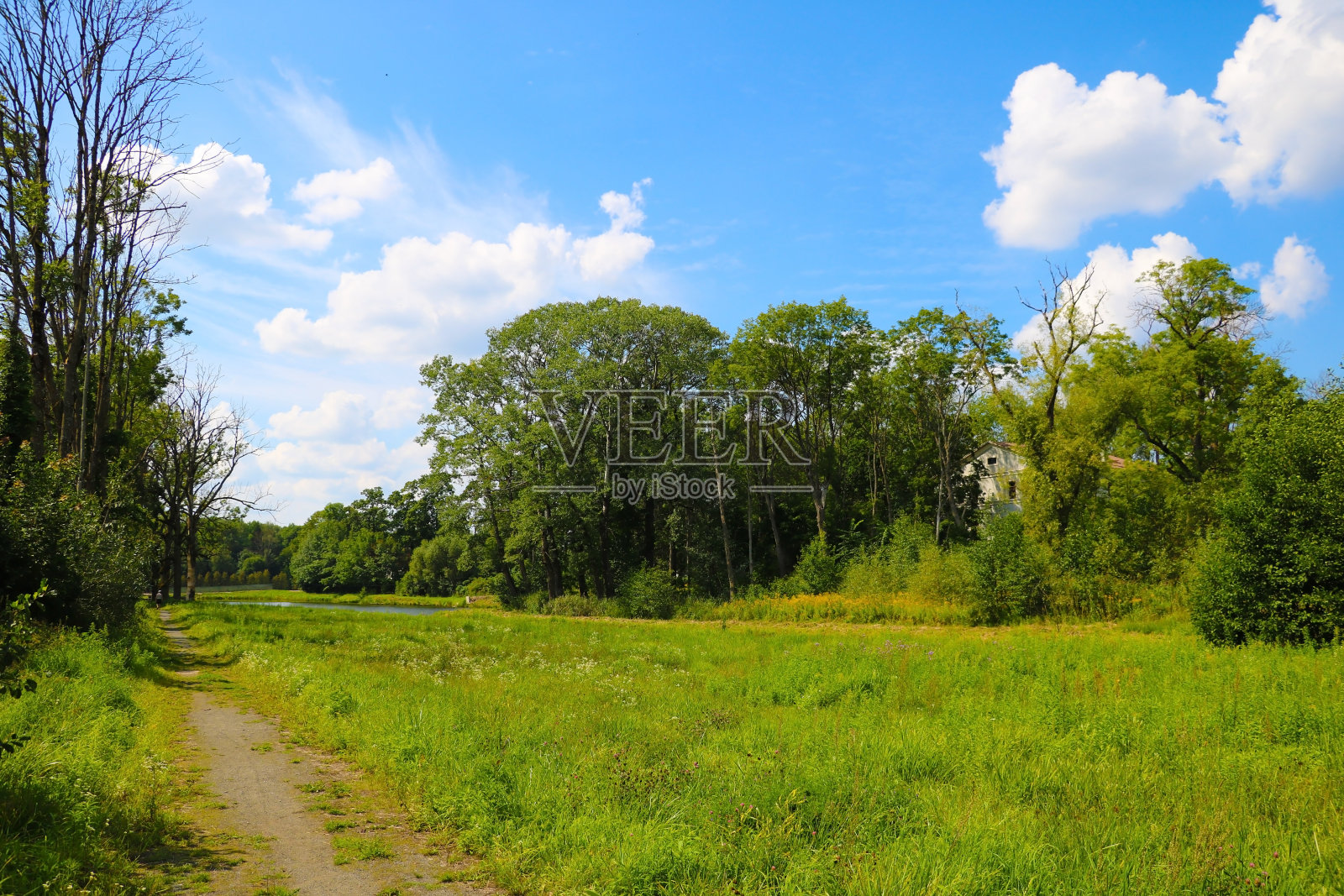 乡村，绿树草地，蓝天白云。照片摄影图片