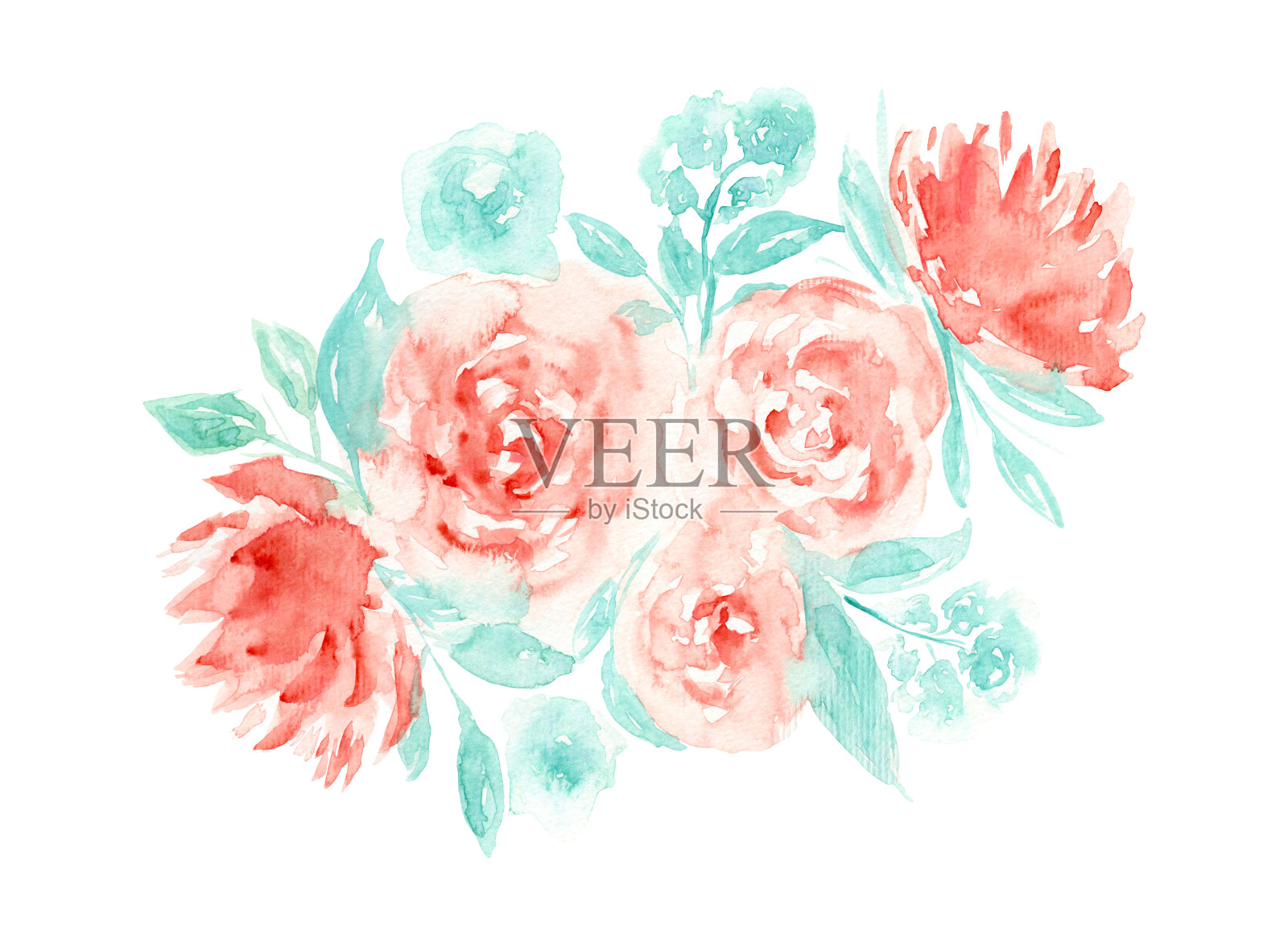 精致的水彩画红牡丹绿叶插画图片素材