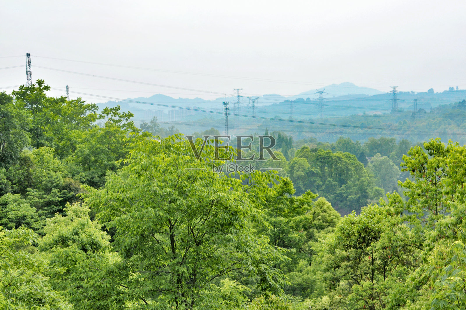 有森林的景观照片摄影图片