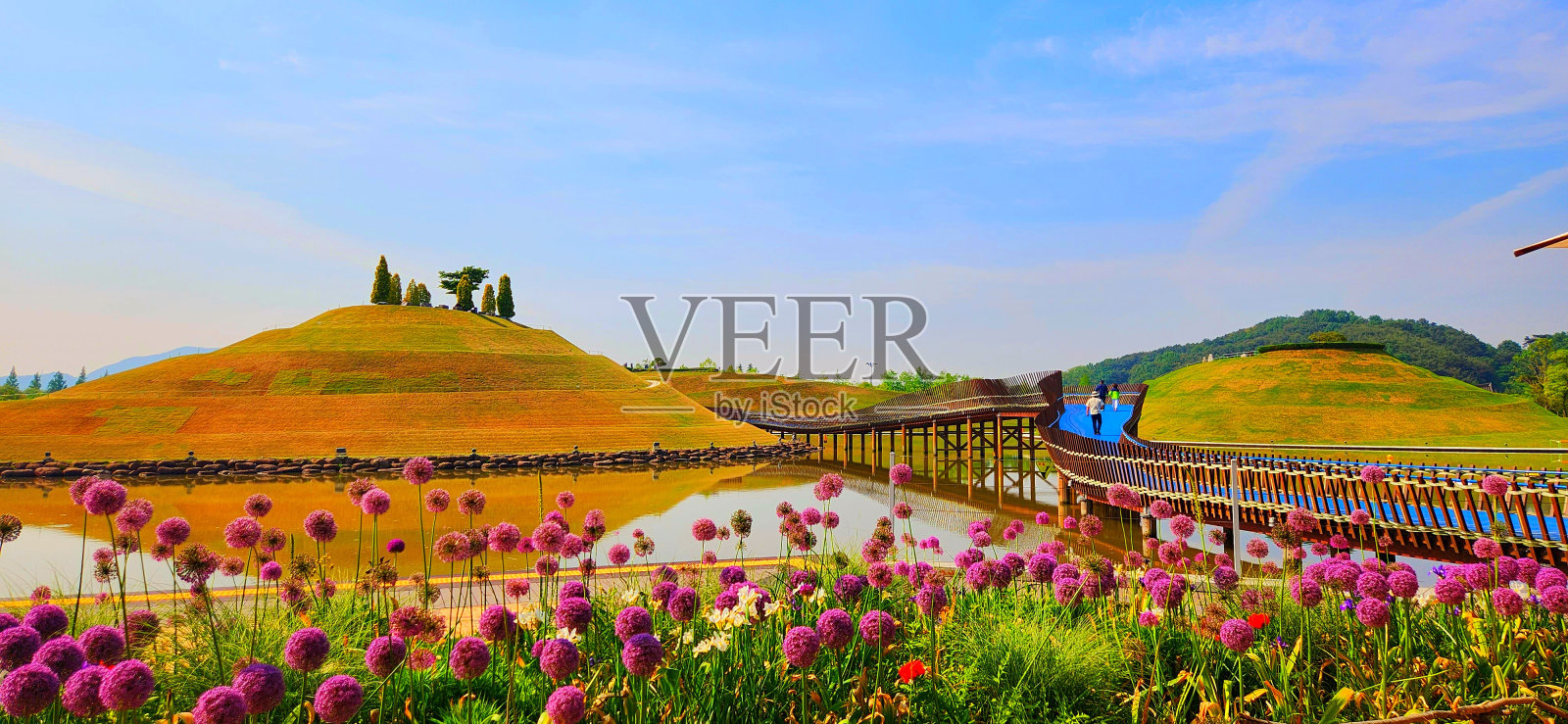 Vh560000横向。jpg照片摄影图片