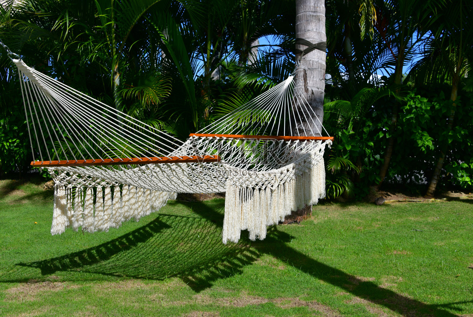 吊床挂在椰子树上照片摄影图片