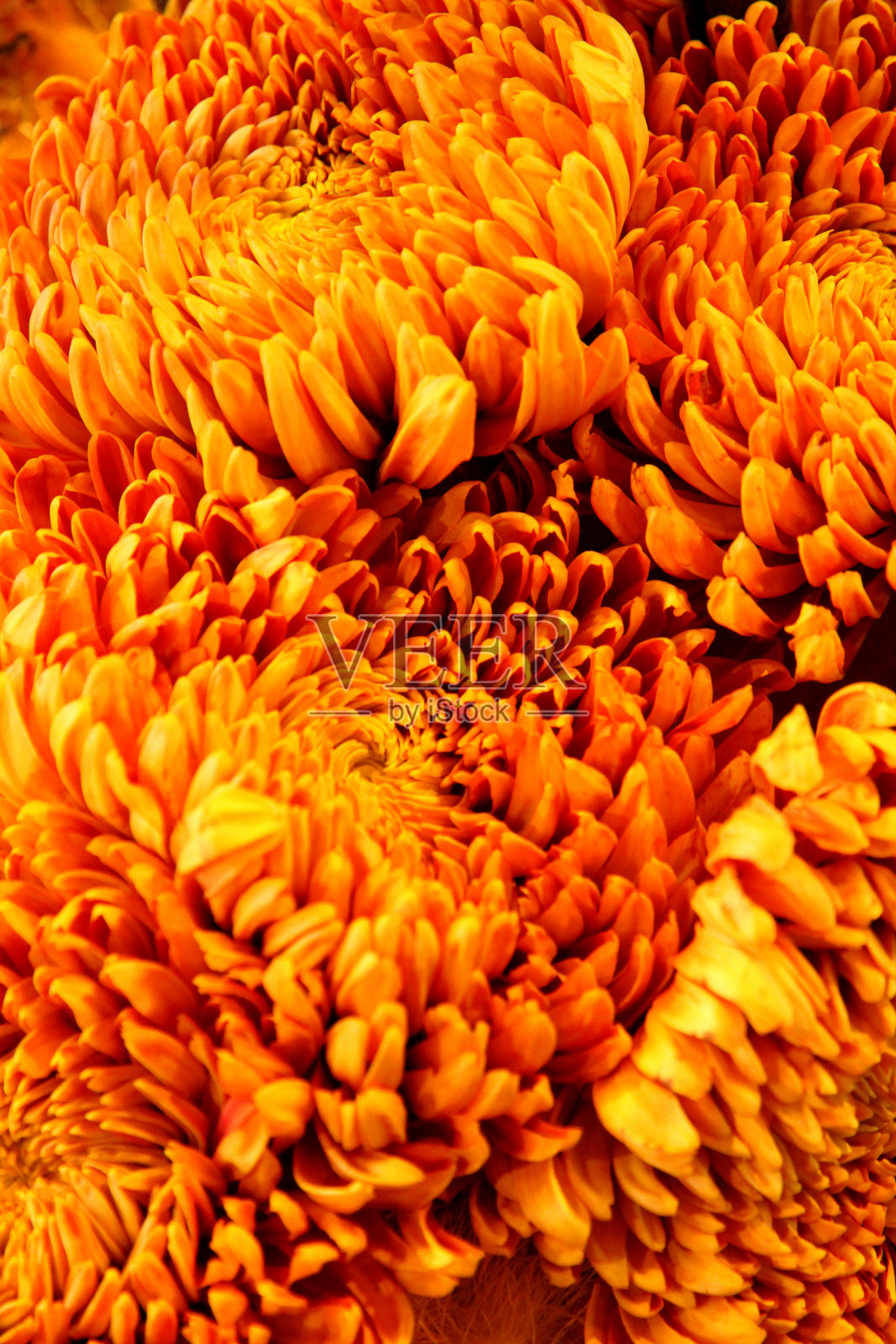 级联黄色照片摄影图片