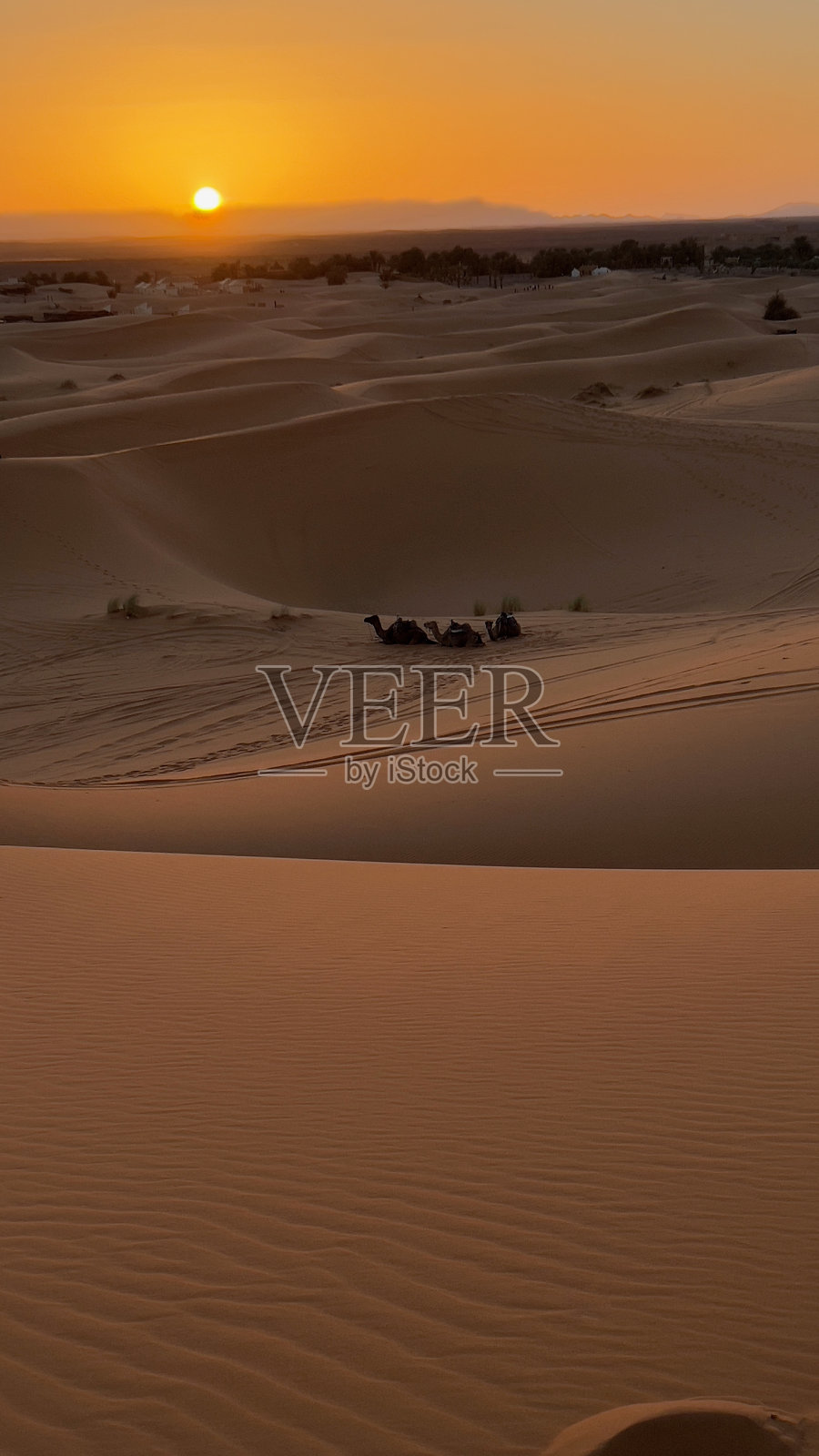IMG_4499日落时分的撒哈拉照片摄影图片