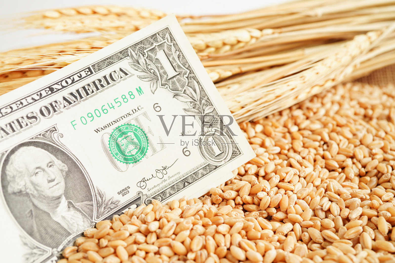 小麦粮食具有美元钞票、贸易出口和经济概念。照片摄影图片