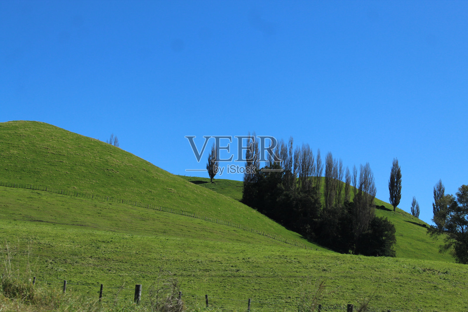 新西兰照片摄影图片