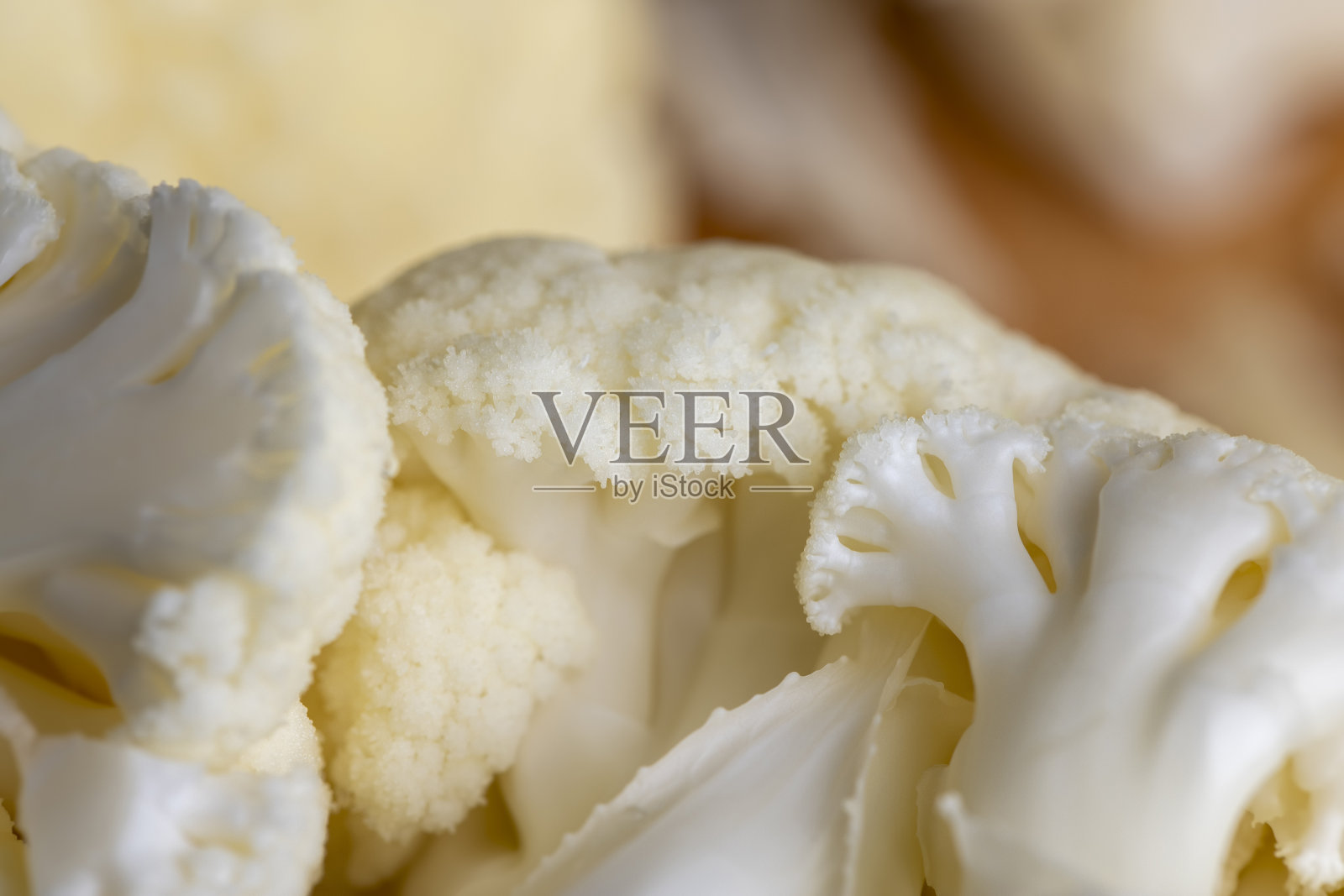 餐桌上白色花椰菜的细节照片摄影图片