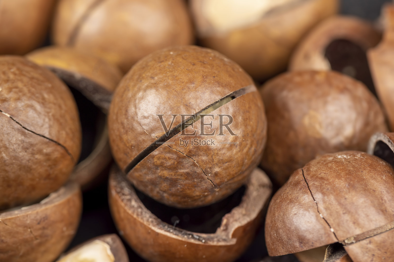 一堆带硬壳的成熟澳洲坚果照片摄影图片