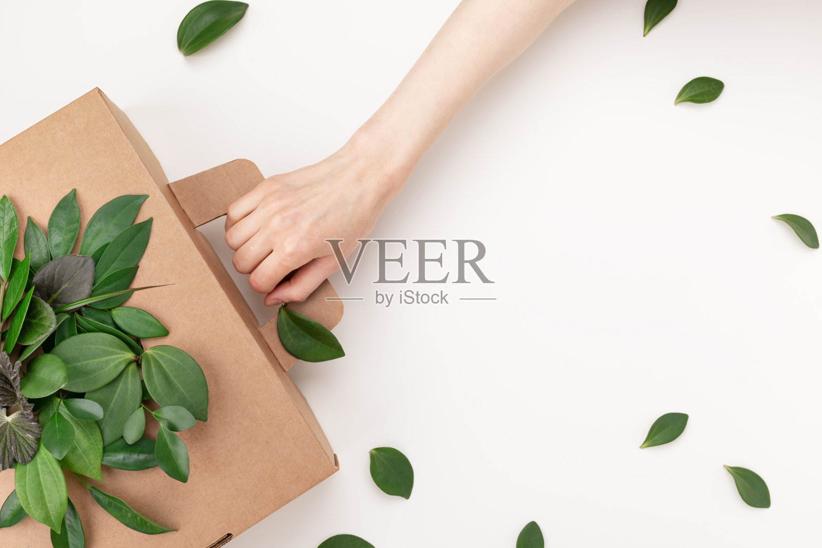 生态纸板箱由天然可回收材料与绿叶在妇女的手顶视图。环保纸盒包装，零浪费，无塑料，保护自然的理念。照片摄影图片