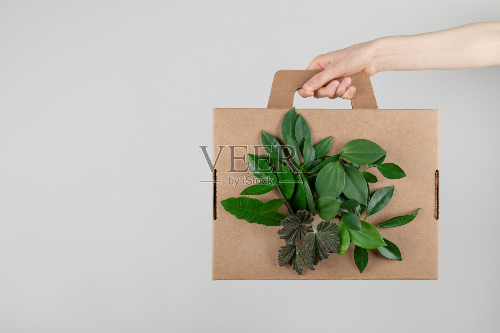 妇女手持的纸盒由天然可回收材料与绿叶芽。负责任消费，环保包装，零浪费。照片摄影图片