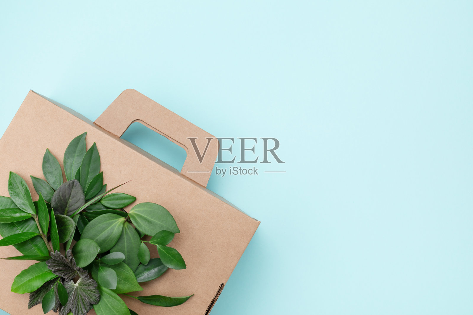 生态纸盒由可回收的有机材料与绿叶芽顶部视图。环保包装，零浪费，无塑料。照片摄影图片