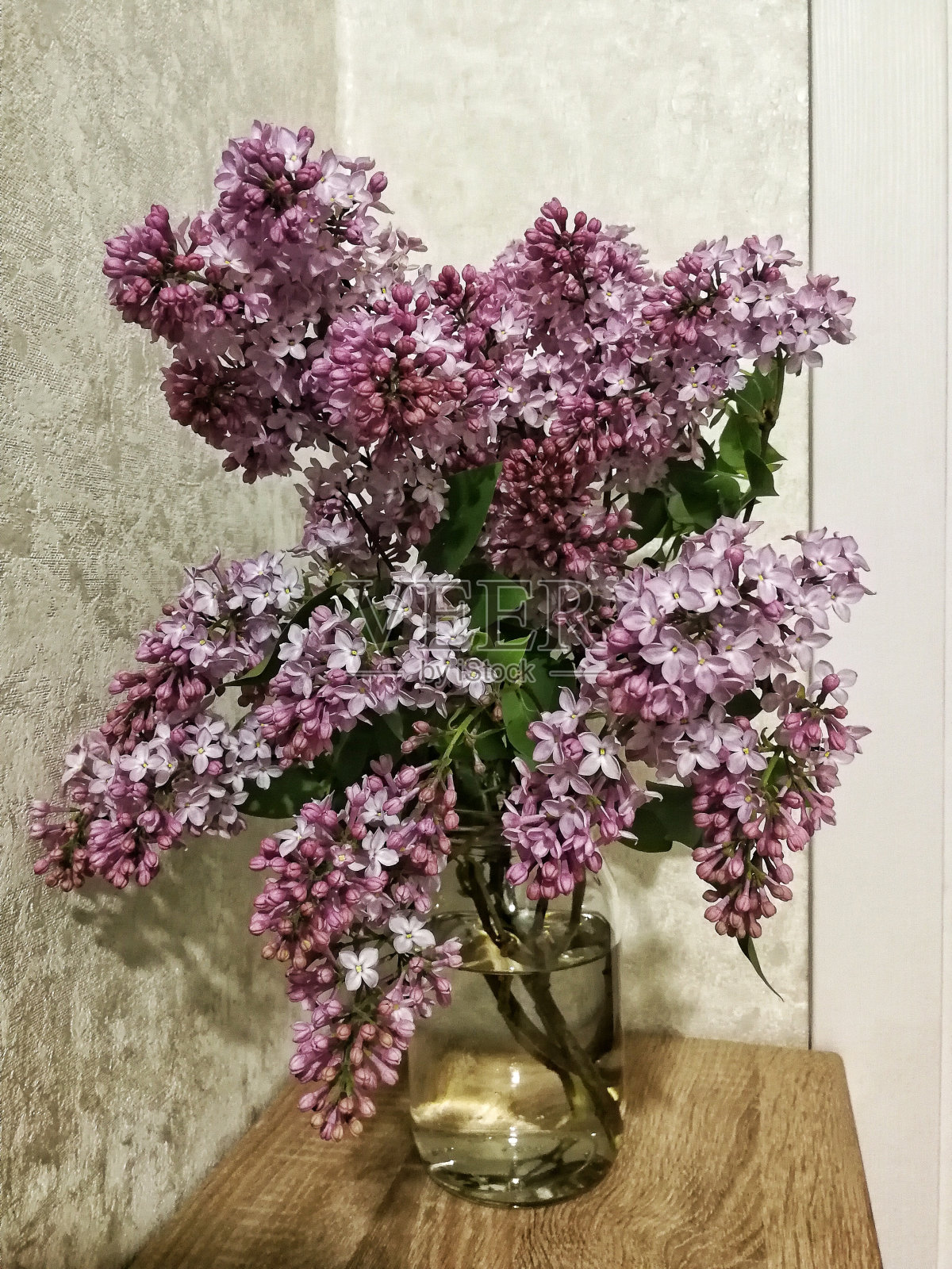 春天的丁香枝照片摄影图片