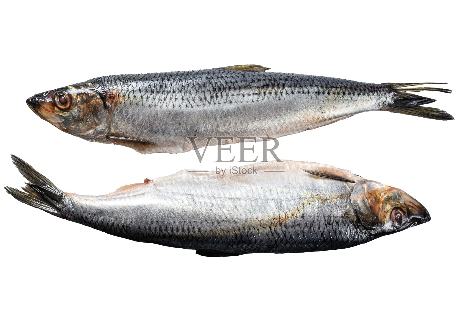 腌整条北欧鲱鱼。孤立在白色背景上。照片摄影图片
