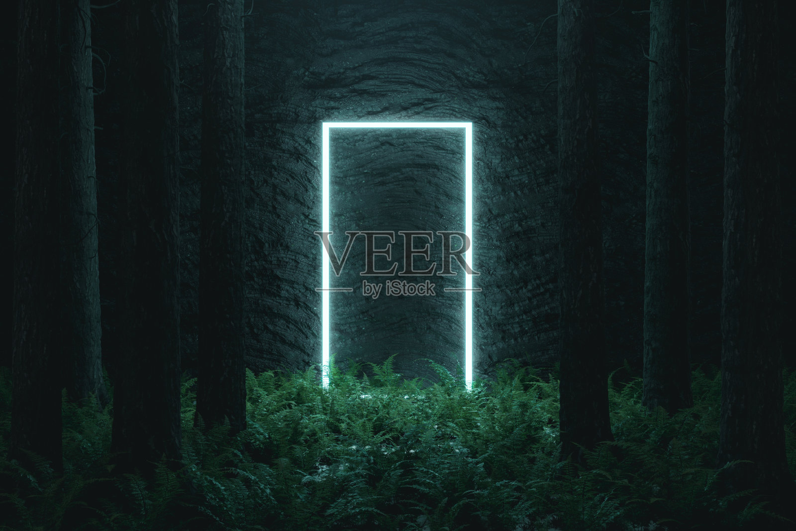 冷杉树包围的蓝色矩形的3D渲染照片摄影图片