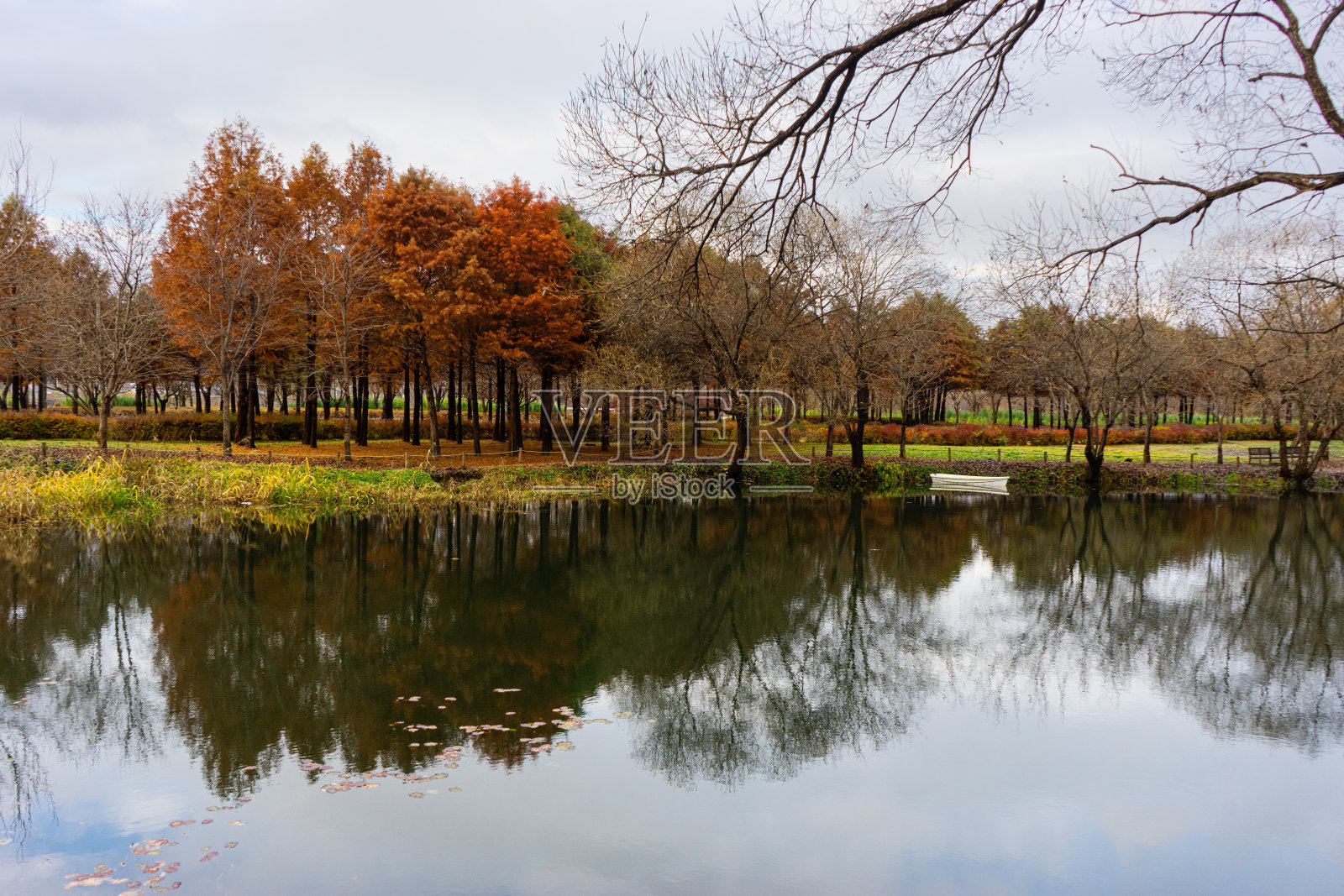 湖的风景照片摄影图片