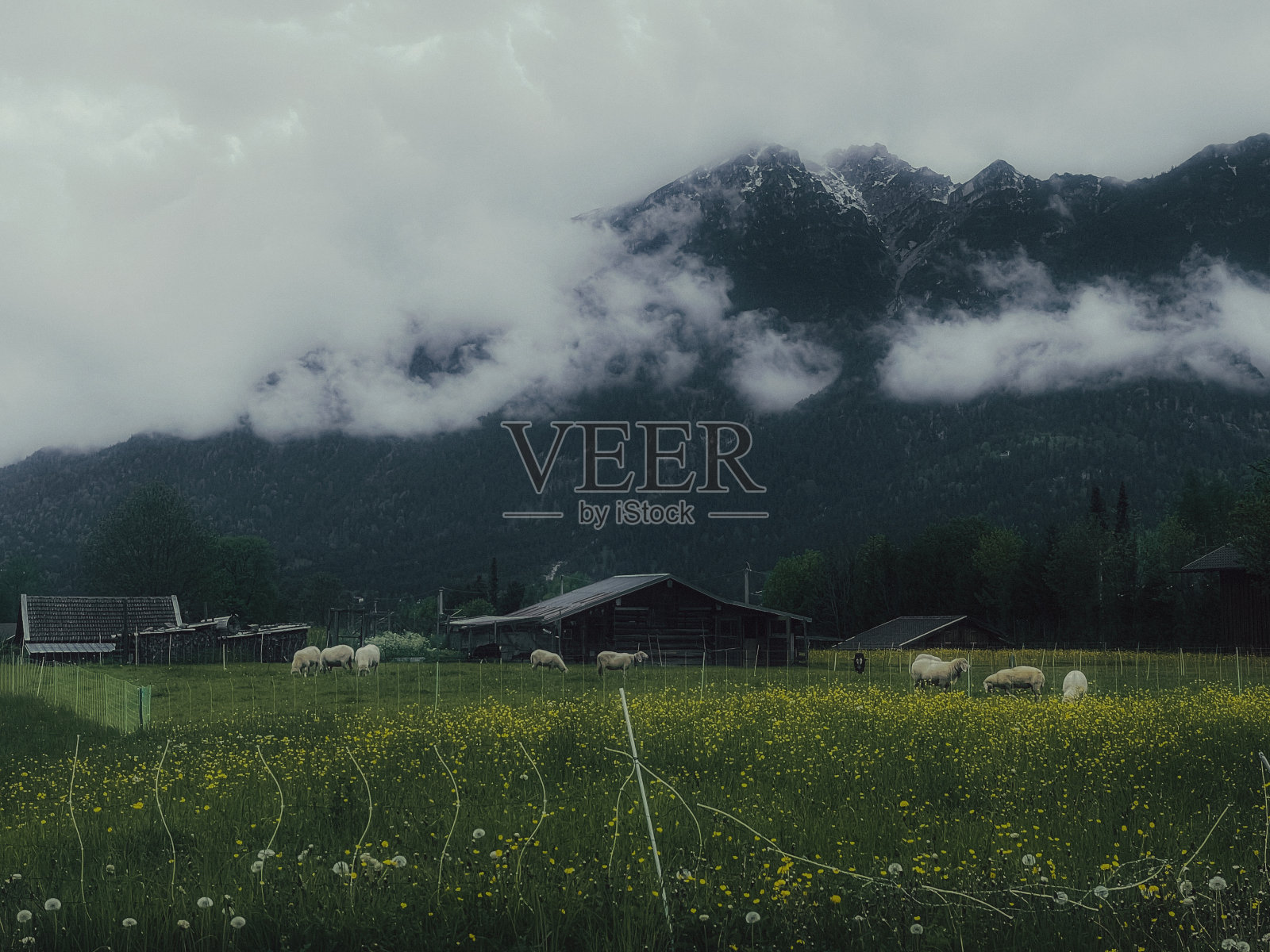 Garmich山照片摄影图片