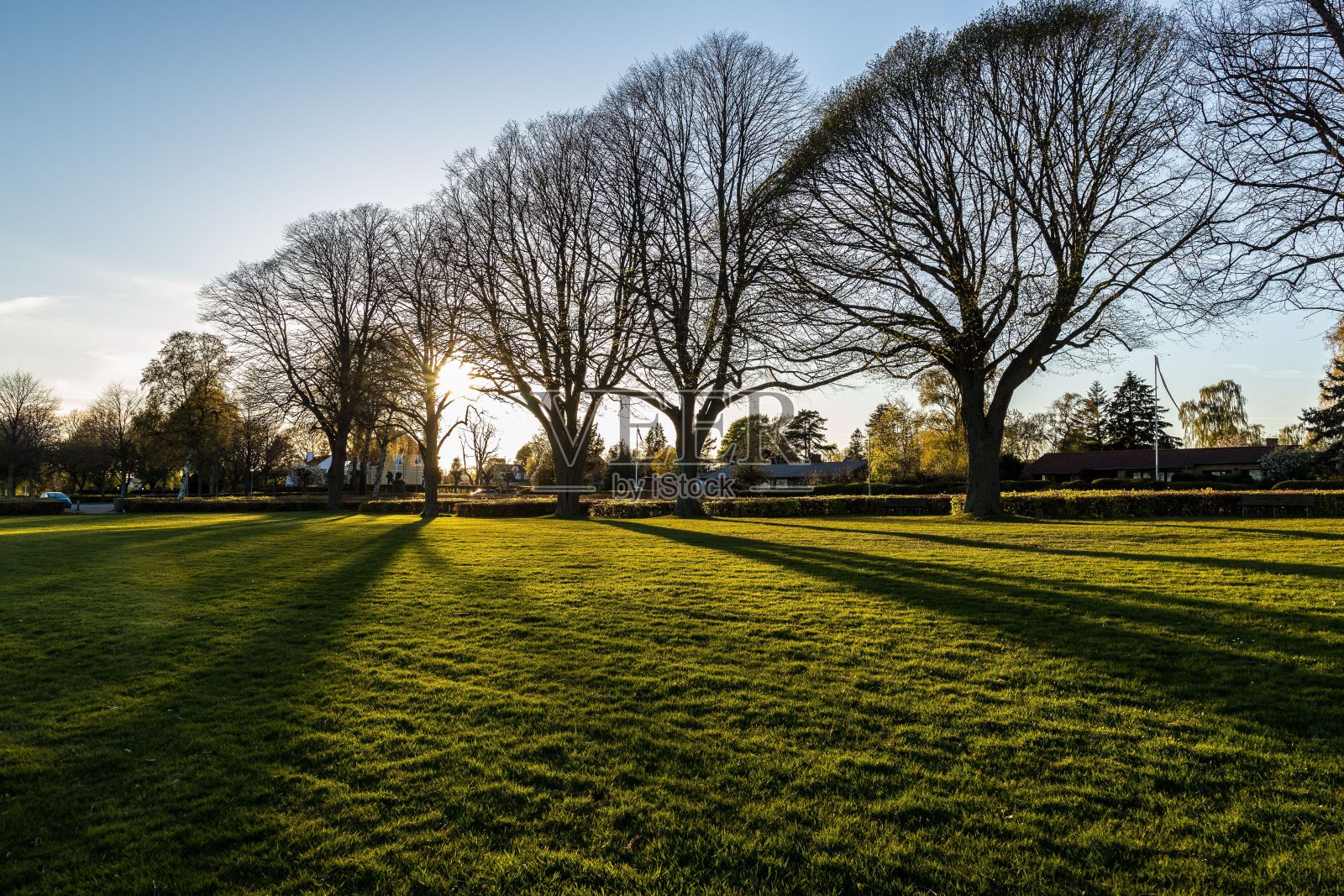 在丹麦的一个公园里，令人惊叹的日落景象，两边都是郁郁葱葱的绿草和树木照片摄影图片