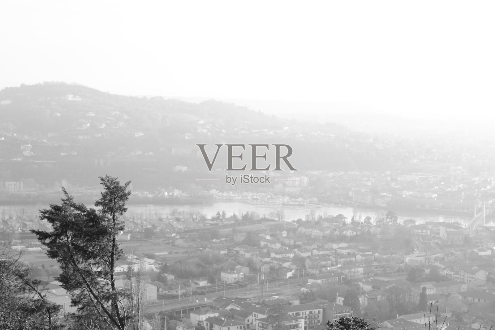 我看到你了照片摄影图片