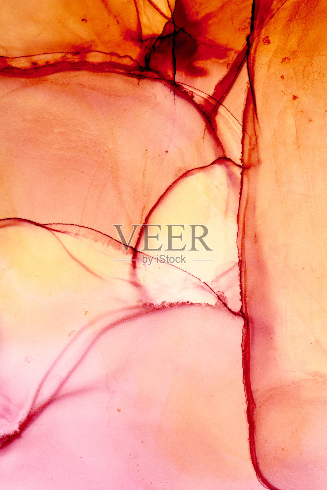 酒精墨水邀请和流体图案照片。照片摄影图片